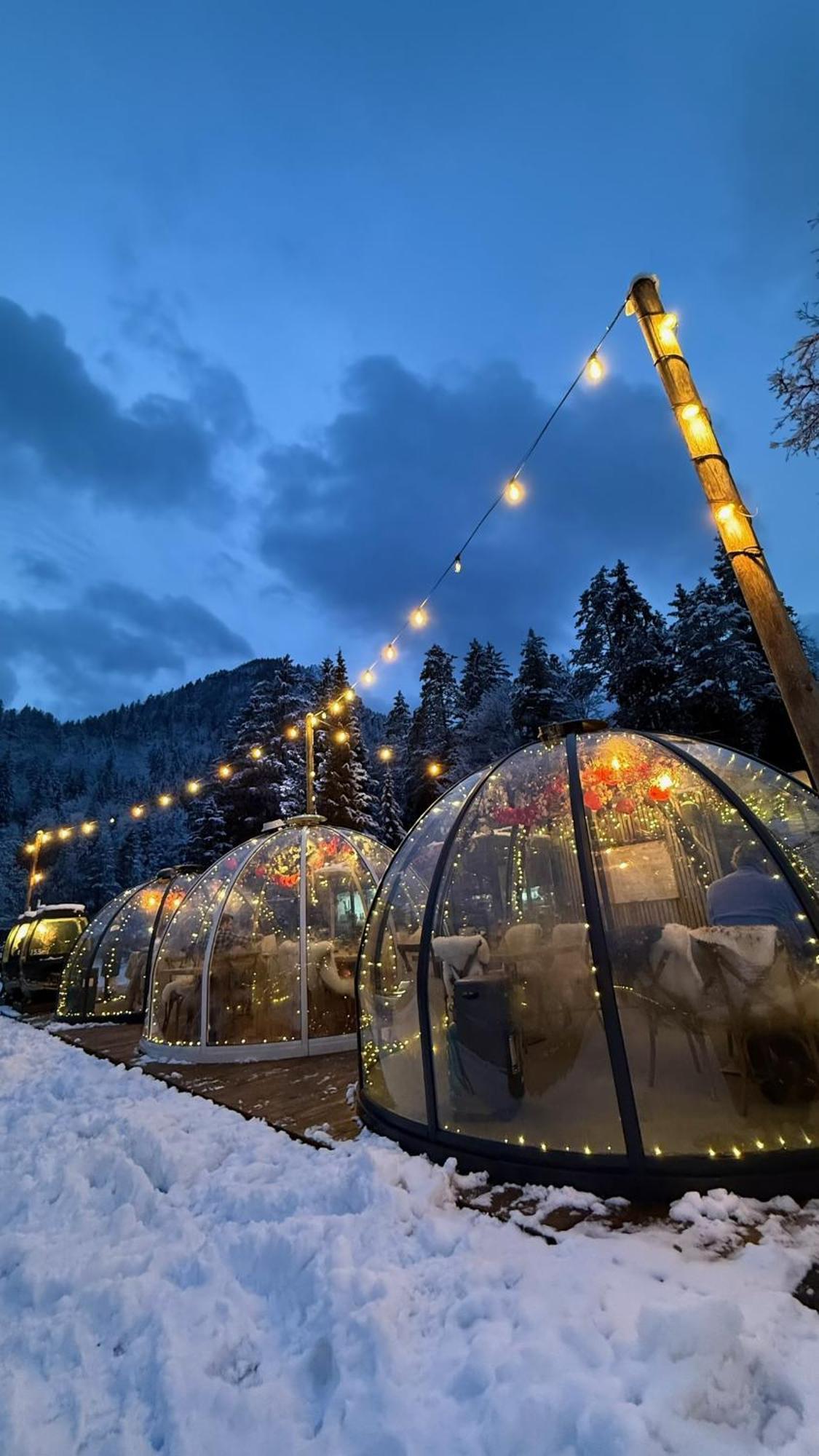 Jasna Chalet Resort Кранська Гора Екстер'єр фото