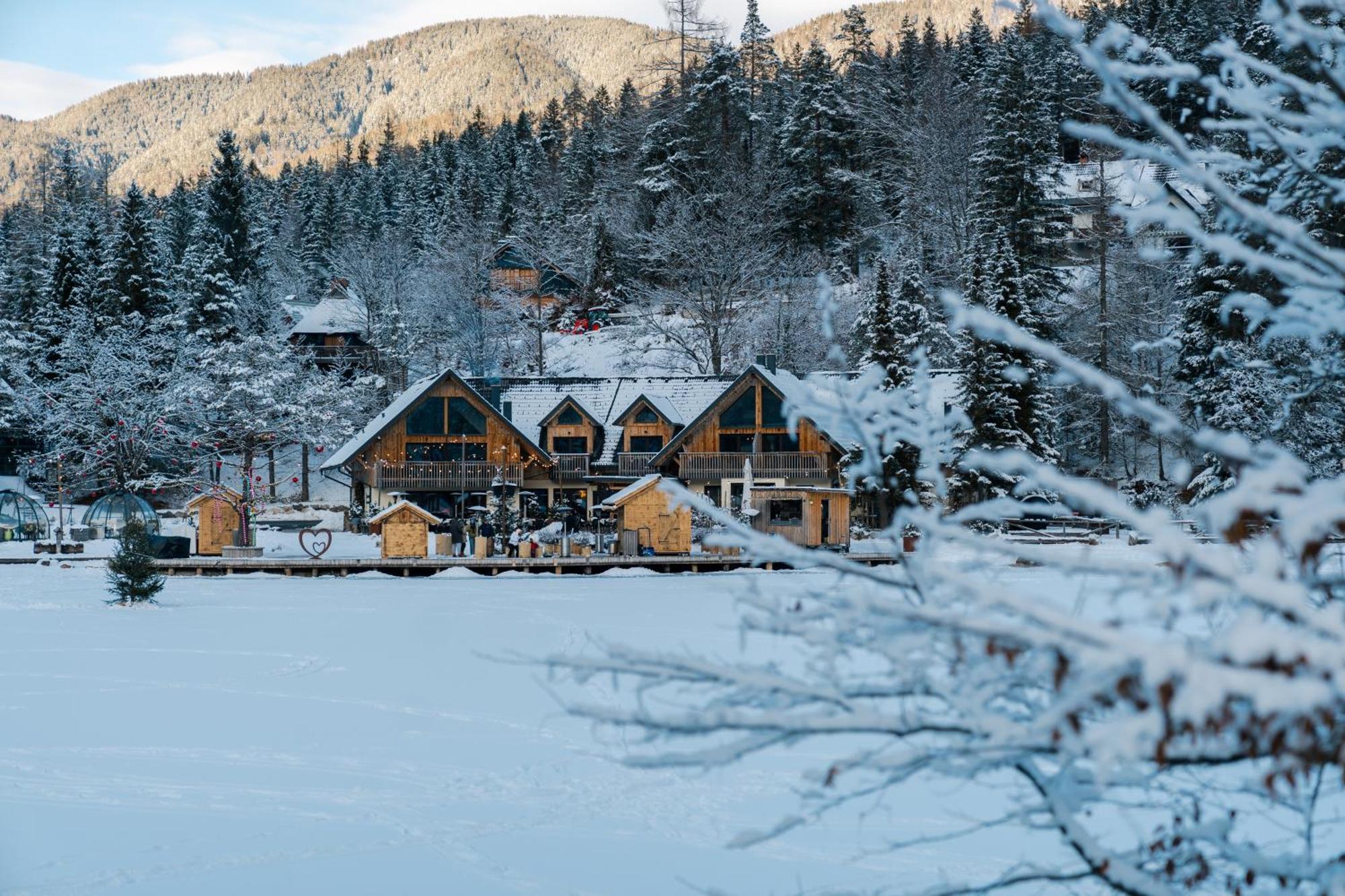 Jasna Chalet Resort Кранська Гора Екстер'єр фото